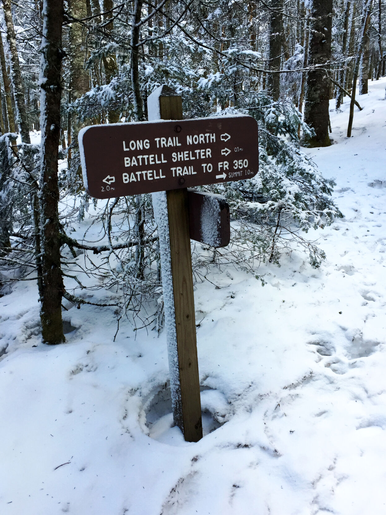 Mount Abraham - winter 2